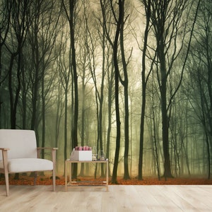 May include: A misty forest scene with tall, bare trees and a soft, golden light filtering through the branches. The ground is covered in fallen leaves.