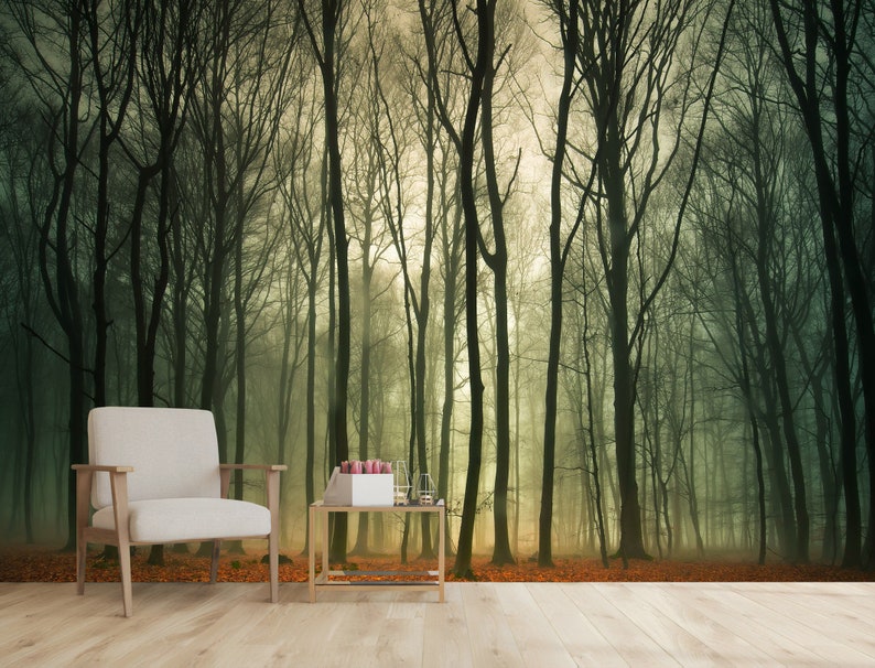 May include: A misty forest scene with tall, bare trees and a soft, golden light filtering through the branches. The ground is covered in fallen leaves.