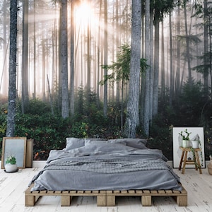 Morning Foggy Forest Trees Mural Wallpaper Peel and Stick Inside the Forest Wall Decor Bedroom Office Living Room Forest Sunlight Wall paper