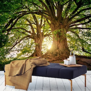 Papier peint grand arbres, papier peint vinyle autocollant, décoration murale forêt, papier peint arbre de vie, papier peint forêt