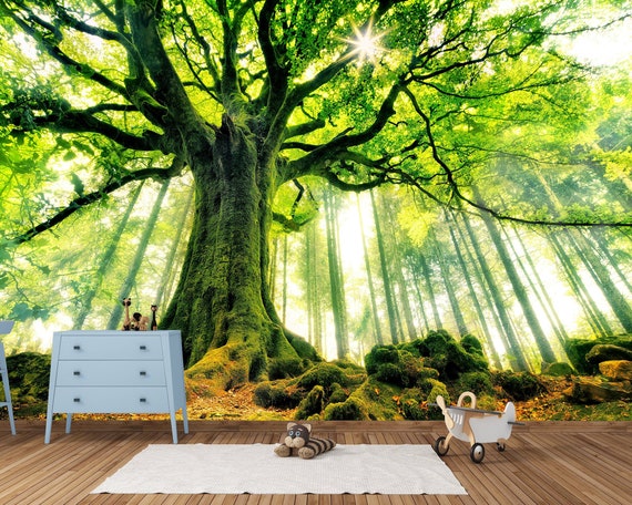 Tree wallpaper bedroom discount