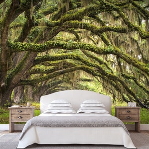 Oaks Avenue Tree Branches Wallpaper Peel and Stick Oaks Wall Mural Bedroom Wallpaper Trees Wallpaper Old Tree Home Wall Art Decor
