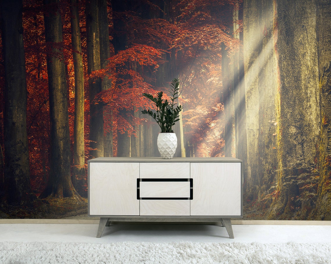 Autumn Trees Wallpaper Forest Mural Peel and Stick Vinyl Etsy