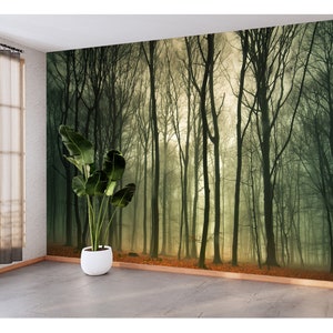 May include: A misty forest scene with tall trees and a path leading into the distance. The trees are bare and the ground is covered in fallen leaves.