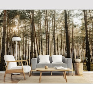 Sunny Forest Trees Wall Mural Wallpaper Peel and Stick Forest Nature Wallpaper Pine Forest Wallpaper Wild Forest Landscape Wallpaper Printed