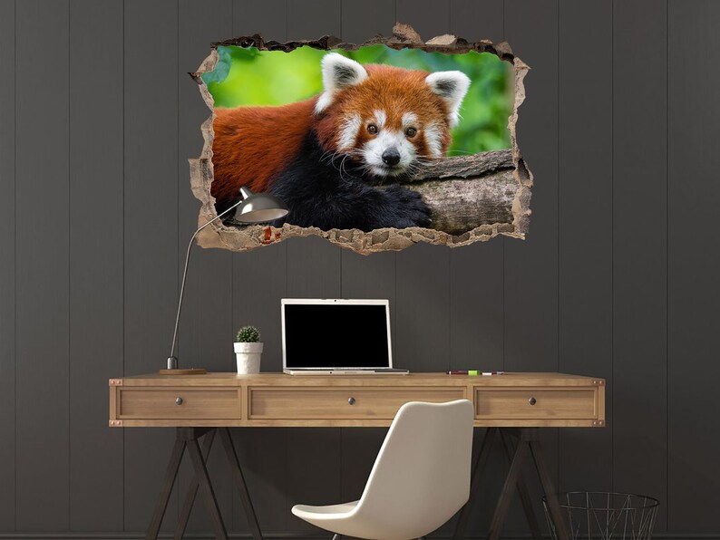 Red panda Poster 3D Wall crack Decal Animals Prints Red panda Etsy