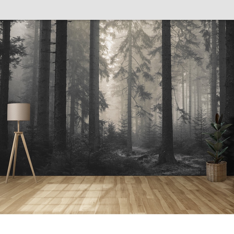 Dark Foggy Forest Wallpaper Peel and Stick \ Traditional | Misty Trees Wallpaper Mural Modern Wall Decor Bedroom Living Room Wallpaper Moody image 8