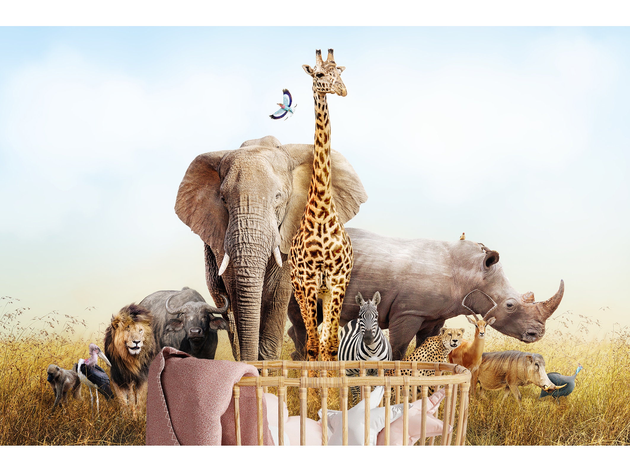 Safari Animal Wallpaper African Wall Mural Savannah Wildlife