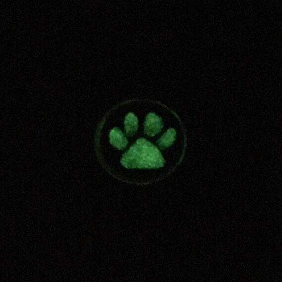 Miraculous Ladybug Chat Noir Cat Noir Paw Symbol Cabochon Earrings Silver Plated Suitable For Allergics Glow In The Dark