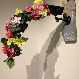 May include: Black security camera adorned with a vibrant floral arrangement of red, pink, and yellow flowers. The camera is mounted on a wooden post with the words "Watching You Bloom" and graffiti. The flowers cascade down.