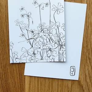 Planche botanique, oxalis, carte postale, décoration murale petit format, A6