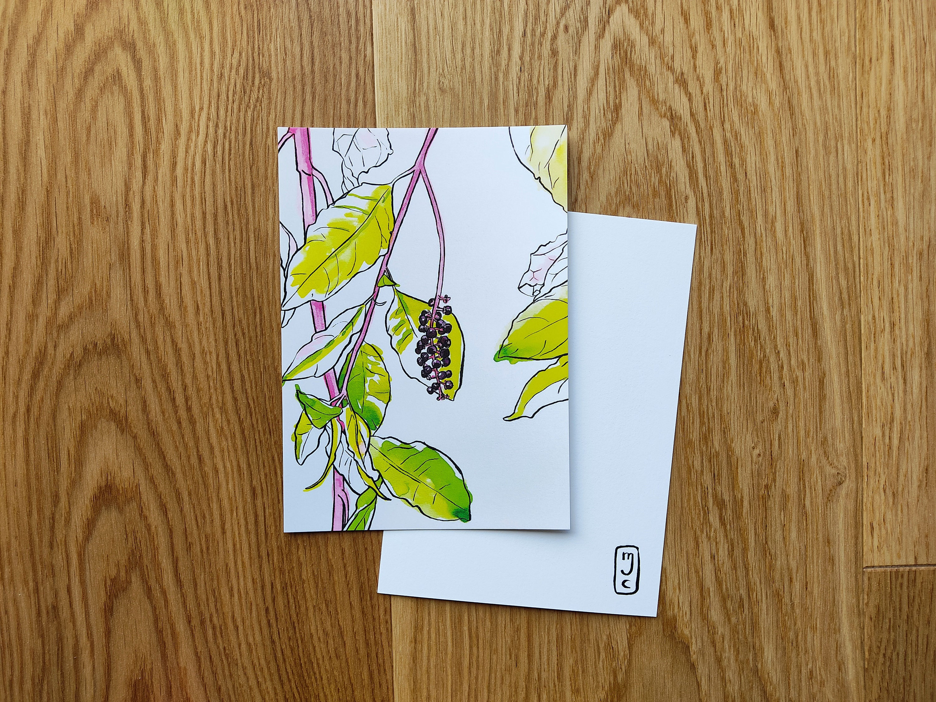 Planche Botanique, Baie Des Ours, Carte Postale, Décoration Murale Petit Format, A6