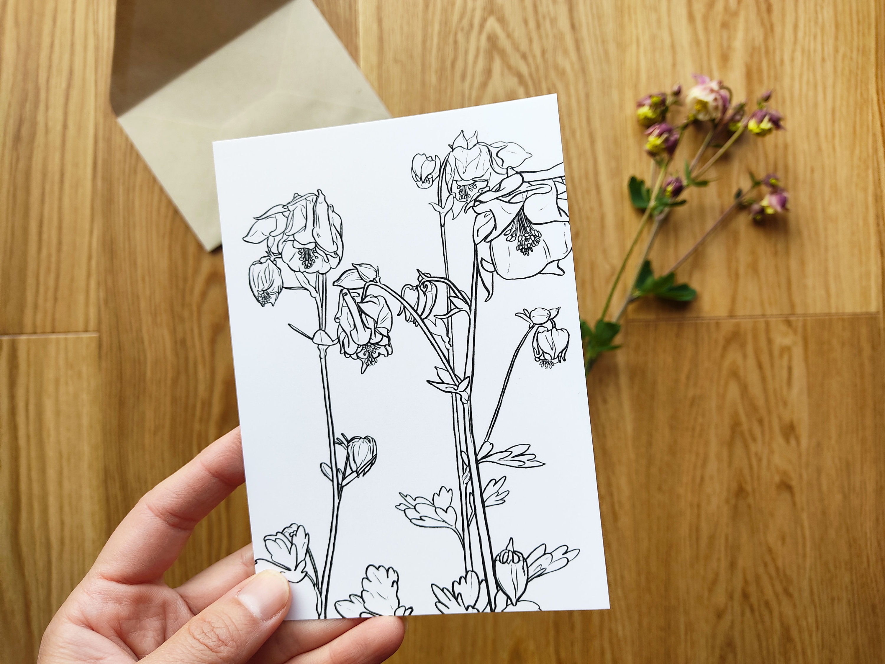 Planche Botanique, Ancolie, Carte Postale, Décoration Murale Petit Format, A6