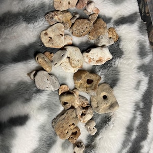 May include: A collection of various natural stones, many featuring small, naturally occurring holes or porous textures. The stones are primarily shades of beige, tan, light brown, and grey, with irregular shapes and weathered, uneven surfaces.