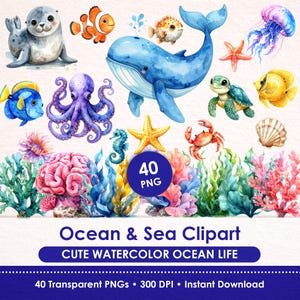 Paquete de imágenes prediseñadas de vida marina en acuarela: Animales marinos, peces, corales y algas PNG