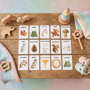 Wooden toys and flashcards with nature-themed illustrations are arranged on a wooden surface. The flashcards feature images of a maple leaf, mouse, owl, and other woodland elements. A wooden elephant, hippo, and other toys are also present.