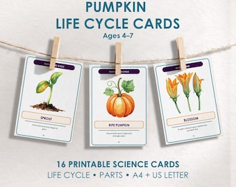Pumpkin Life Cycle Cards, Parts of a Pumpkin Preschool Science Activity, Homeschool Classroom Learning Flashcards