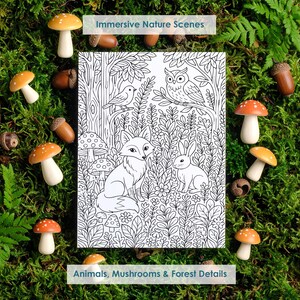 Forest coloring page with mushrooms, owl and rabbit, detailed woodland scene printable for adults