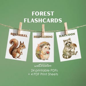 Watercolor forest flashcards displayed on table, Close-up of woodland animal flashcard, Printable forest flashcard sheets ready to cut, Toddler playing with forest flashcards, Set of 24 pastel watercolor nature cards, Flashcards featuring mushrooms and berries, Forest flashcards with pine cones and leaves, Montessori style flashcards for toddlers, Printable flashcards digital download, Educational nature flashcards for preschool