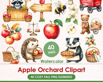 Apple Orchard Watercolor Clipart, 40 Fall Apple PNG, Cozy Cottagecore Autumn Harvest Graphics