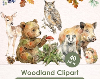 Imágenes prediseñadas de animales del bosque en acuarela, imágenes prediseñadas PNG de animales del bosque y naturaleza, gráficos para diarios creativos.