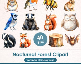 Woodland Animals Watercolor Clipart, 40 Nocturnal Forest PNGs with Owls, Bats and Nature