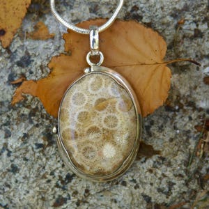 Coral Fossil Pendant // Coral Fossil // Coral // Fossil // Coral Fossil Necklace // Fossil Necklace // Coral Necklace // Sterling Silver