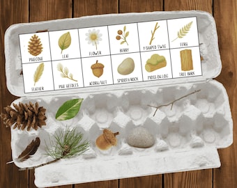 Egg Carton Nature Scavenger Hunt: Outdoor Kids Game (PDF Printable Sheet
