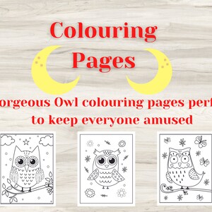 10 gorgeous owl digital colouring pages for focusing, stress relief, teachers, anxiety, parents, adults, boredom buster, classroom