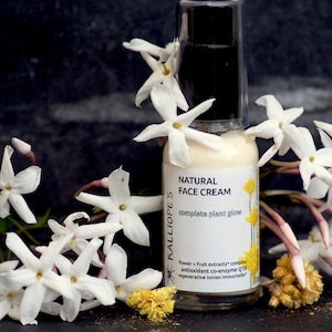 Organic face cream | Radiant Skin Moisturizer Pomegranate + Immortelle Natural antioxidant skincare for all skin types | Zero Waste Vegan