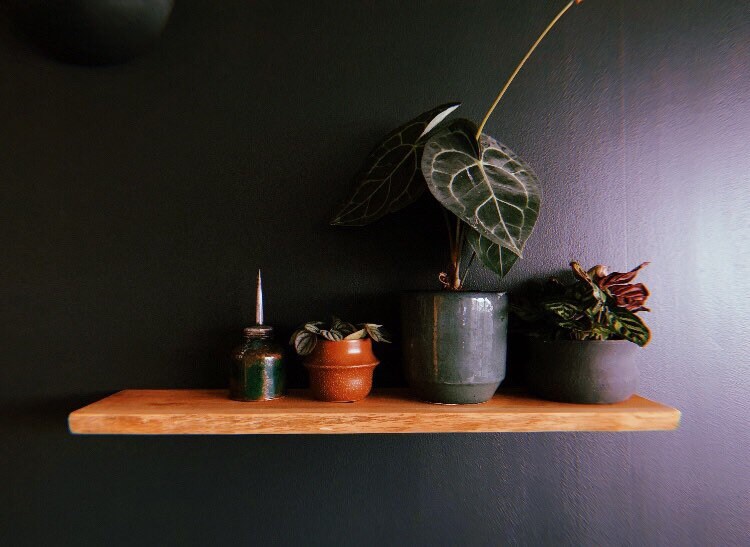 Live Edge Yew Rustic Solid Wood Shelf Floating Shelf Etsy