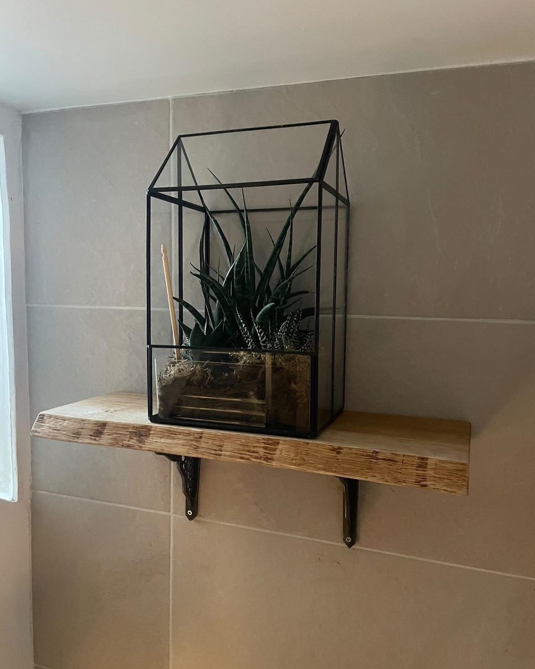 Live Edge Pippy Oak Rustic Solid Wood Shelf Floating Shelf Etsy UK