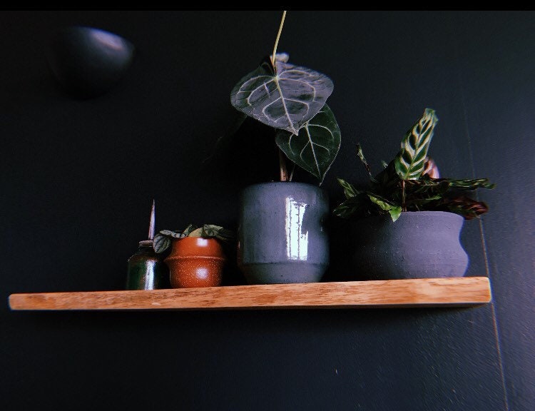 Live Edge Yew Rustic Solid Wood Shelf Floating Shelf Etsy