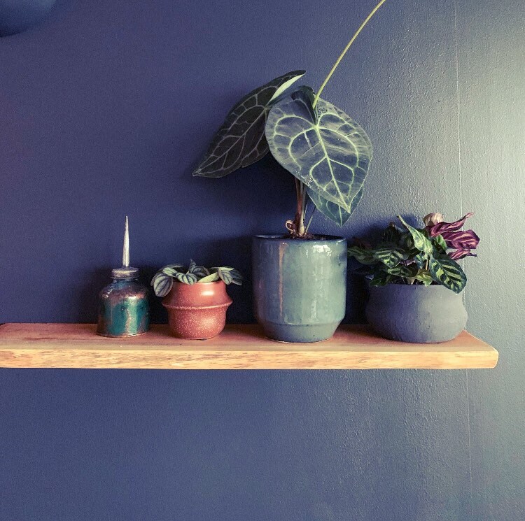 Live Edge Yew Rustic Solid Wood Shelf Floating Shelf Etsy