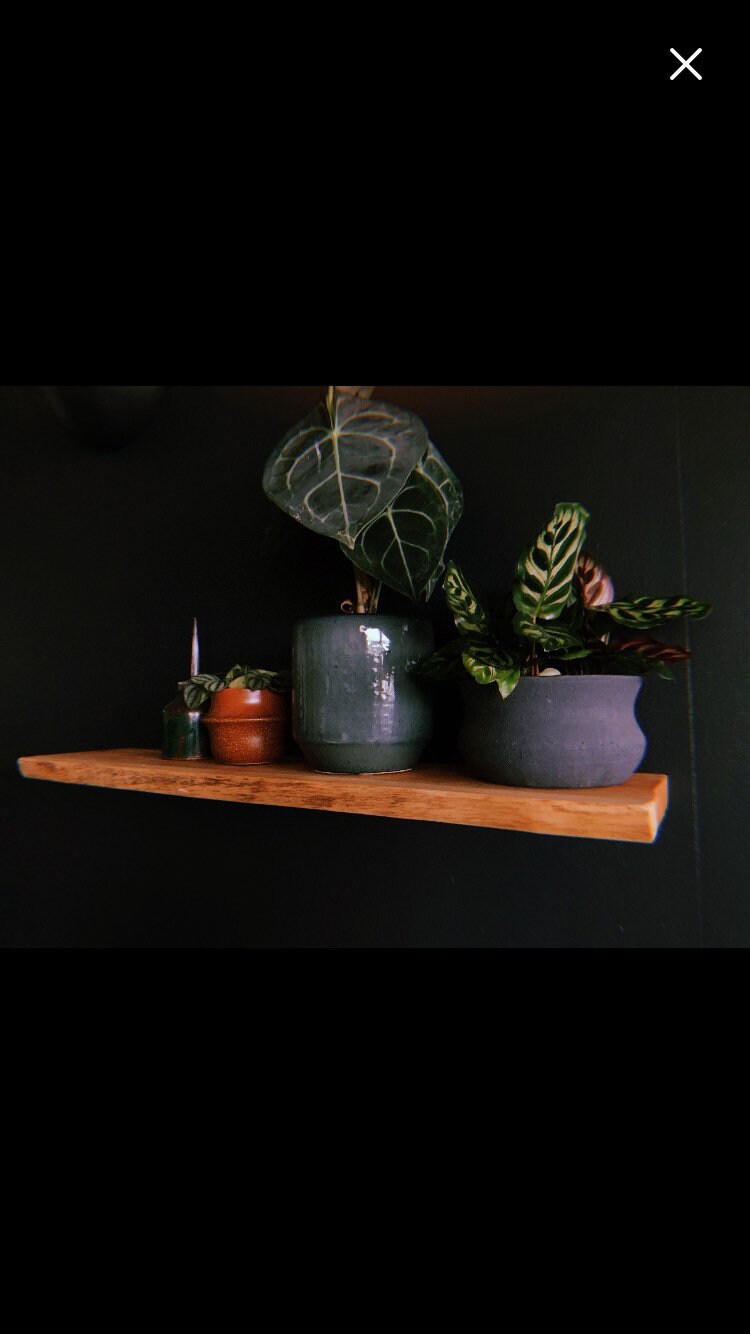 Live Edge Yew Rustic Solid Wood Shelf Floating Shelf Etsy