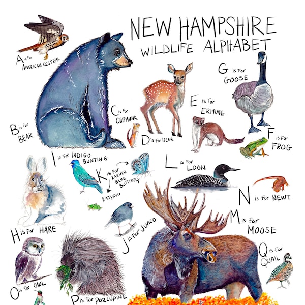 S.Fenerty Art NH Wildlife Alphabet Poster