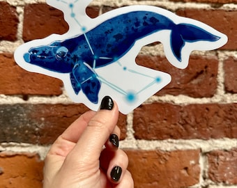 Cetus/Right Whale Vinyl Decal