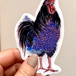Rooster vinyl sticker