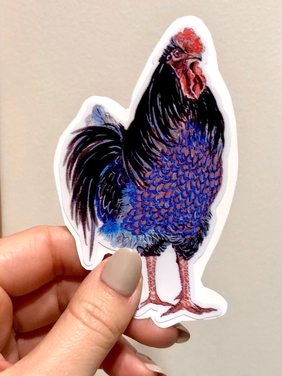 Rooster vinyl sticker