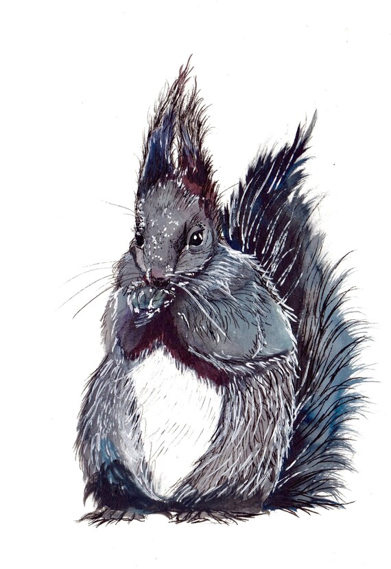 Watercolor and Ink Reproduction Squirrel Print