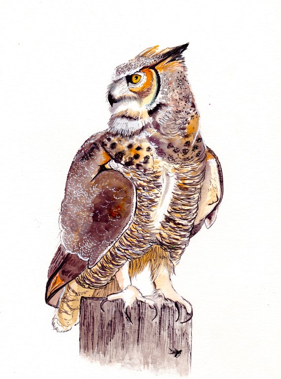 Northwoods Brown Owl Vinyl Sticker
