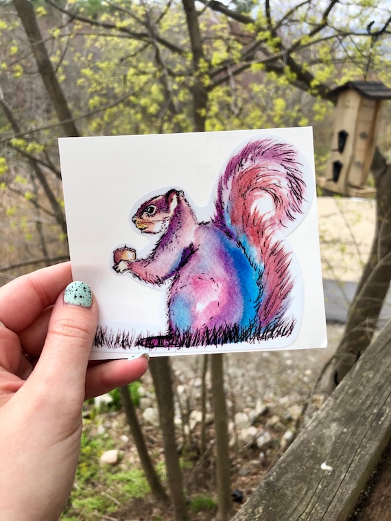 Handsketched Colorful Squirrel Vinyl Sticker