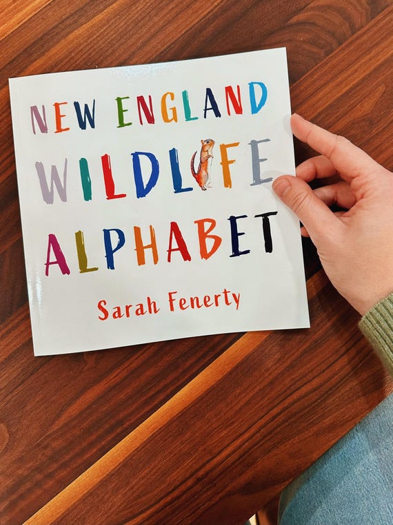 New England Wildlife Alphabet Book