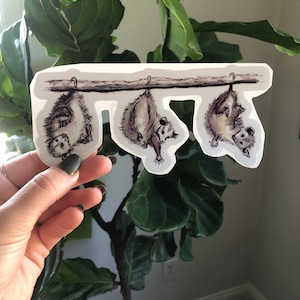 Possums watercolor vinyl decal