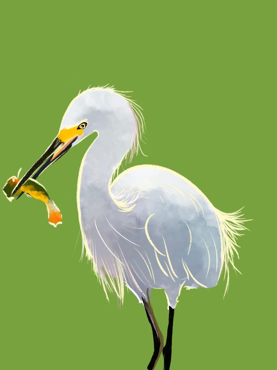 Egret print