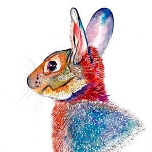 Watercolor and Ink Rainbow Rabbit