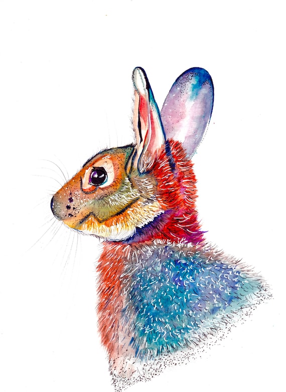 Watercolor and Ink Rainbow Rabbit