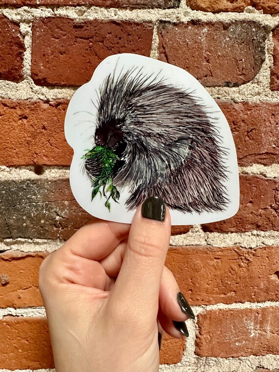 Porcupine Vinyl Decal