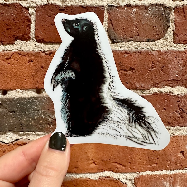 Skunk Vinyl Decal