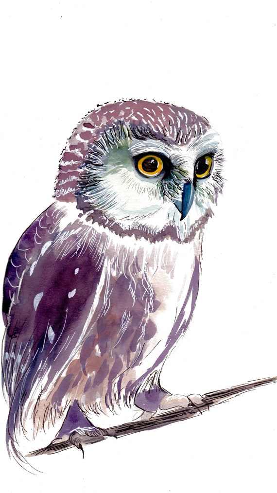 Watercolor and Ink Reproduction Owl Print